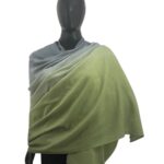 Shawl Ombre Pashmina
