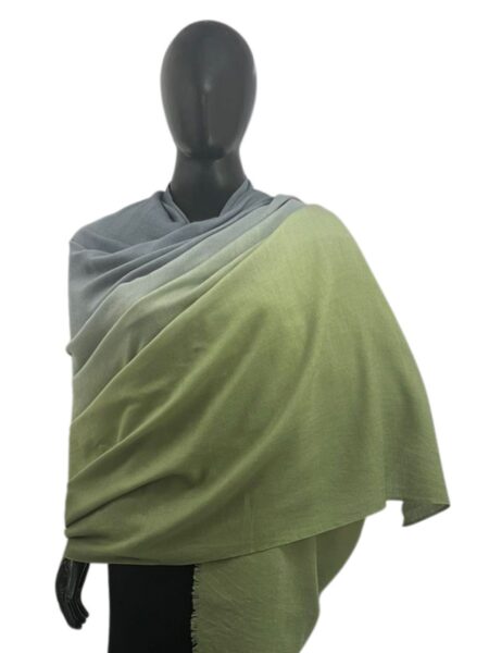 Shawl Ombre Pashmina