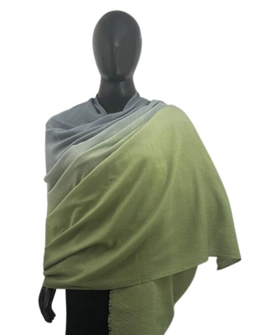 Shawl Ombre Pashmina