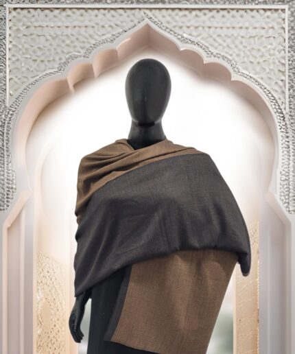 Shawl Reversible Pashmina