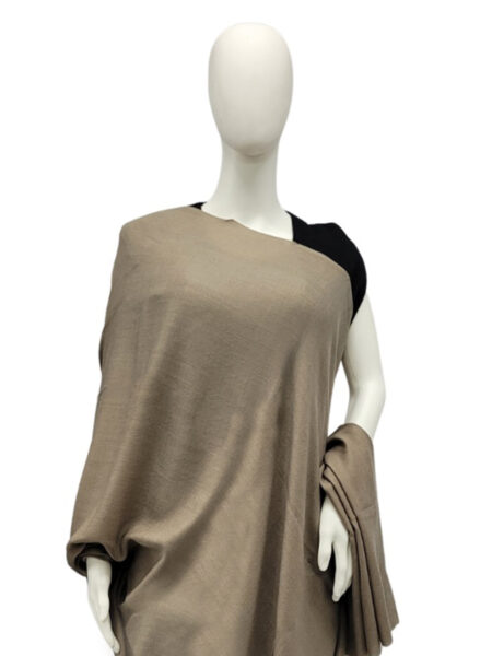 Shawl Plain Pashmina