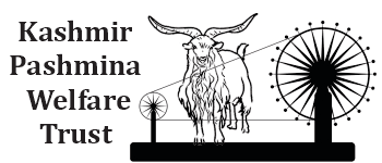 new certified logos finalize 10