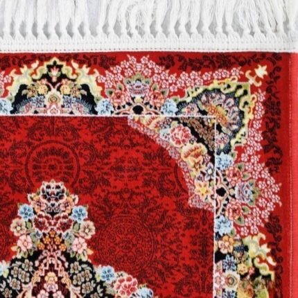 snapedit 1688625903848