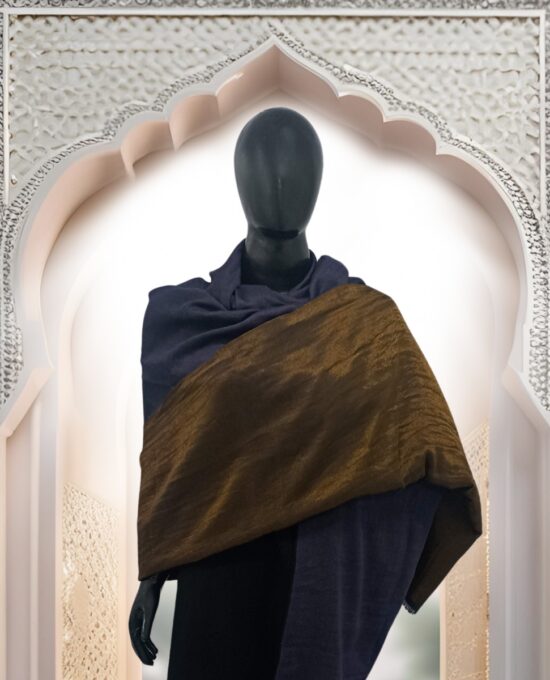 Shawl Reversible Pashmina Zari