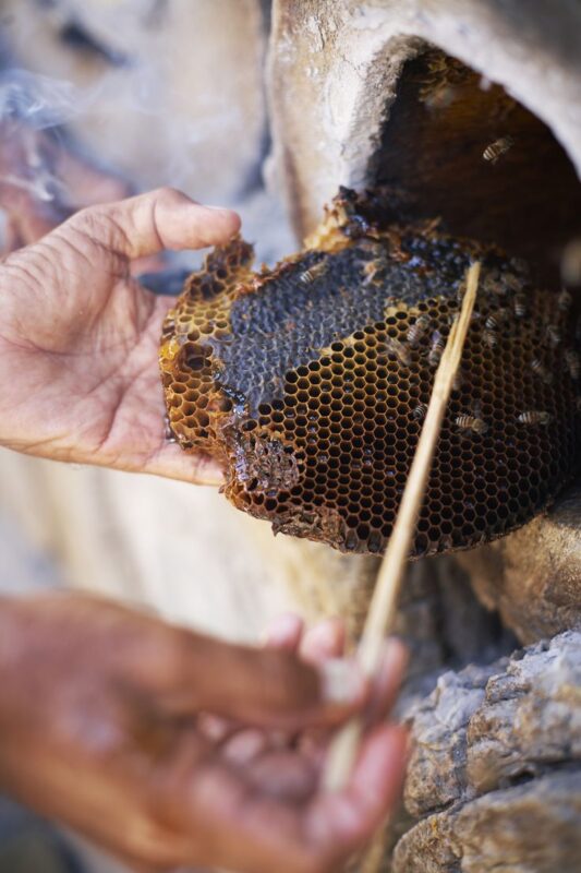 158d2774b8d7609c13e18d94ec8bb72a