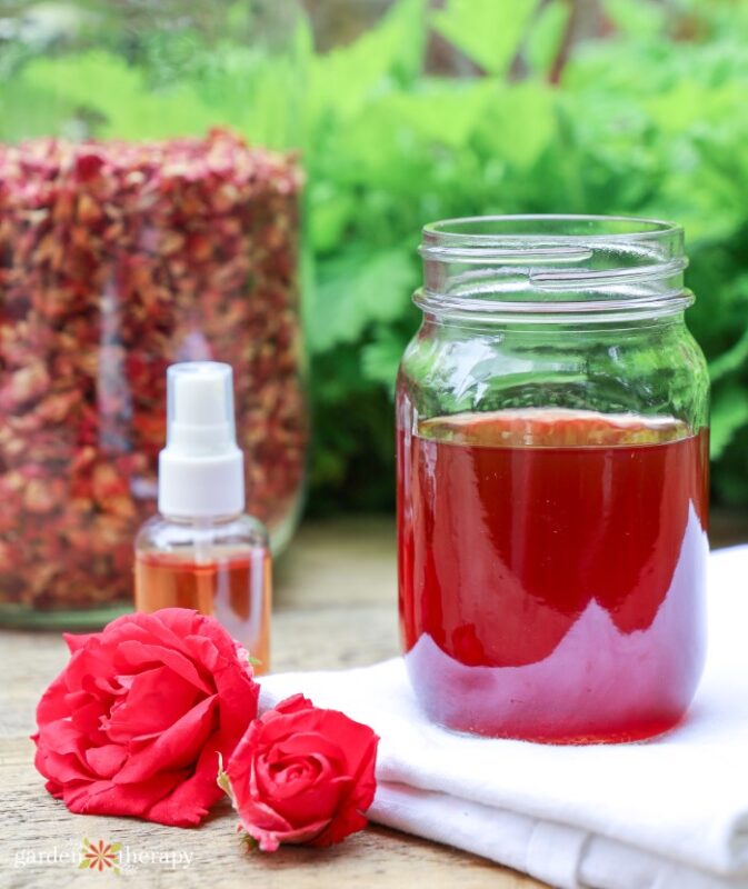 Gorgeous Homemade Rose Water