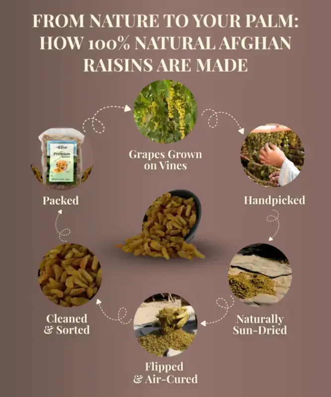 Kishmish567 700x840 1