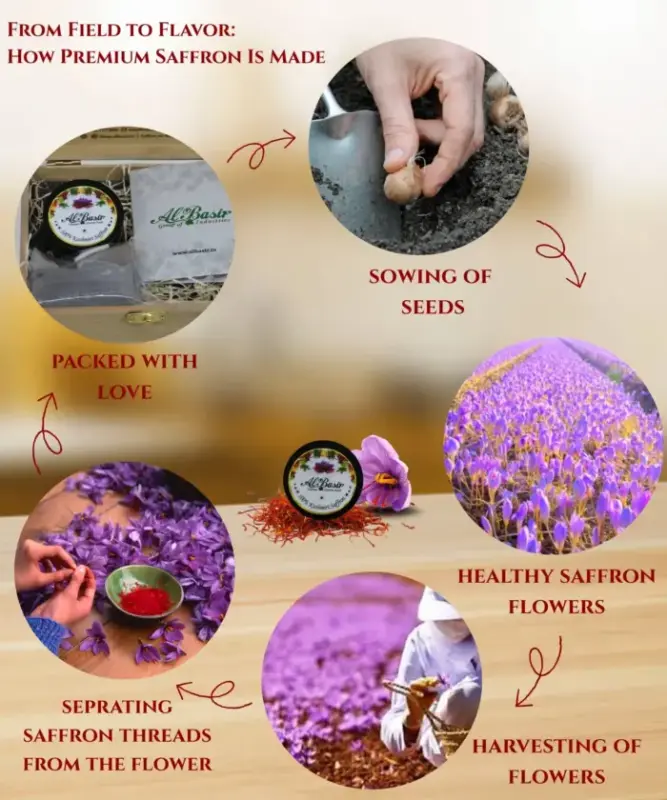 Saffron0000 700x840 1