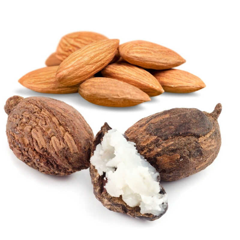 almond shea butter fragrance oil 1 1