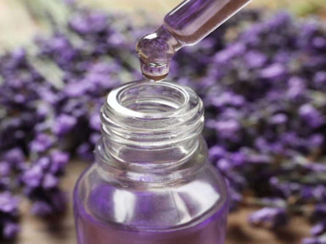 Lavender oil Raw